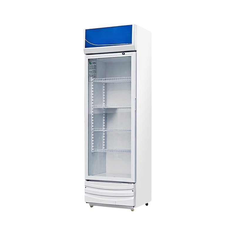Commercial Electric Double Thr - Wine In Beer Store review and price