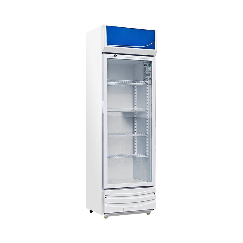 Commercial Electric Double Thr - Wine In Beer Store review and price